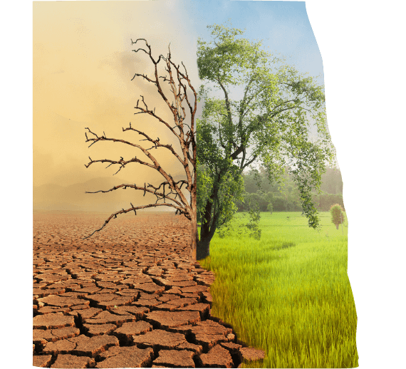 Erklärung Blockchain NatureCoin Chain